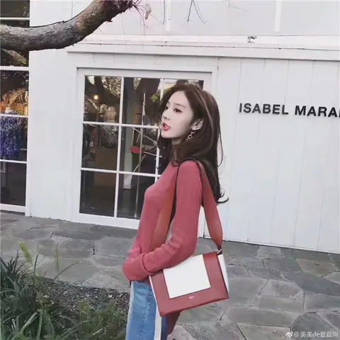셀린느 Frame Bag 180263 명품 - 명품하우스
