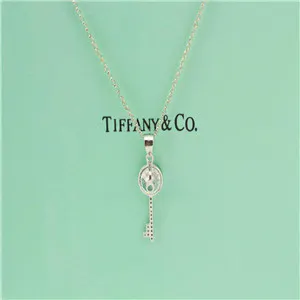 Tiffany & Co Necklace 925 Silver 3858902 명품 | 명품하우스