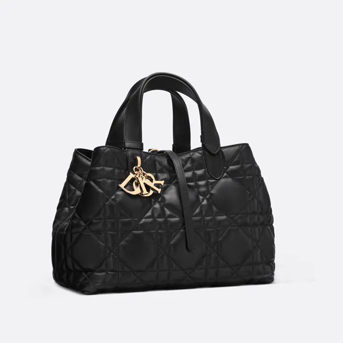 디올 Dior Toujours 미디엄 백 M2821OSHJ M900 명품 | 명품하우스